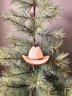 a cowboy hat hanging from the top of a pine tree