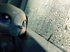 a close up of a stuffed animal on a window sill with drops of water