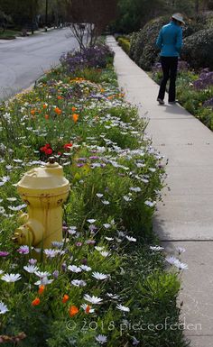 a yellow fire hydrant sitting on the side of a road next to a field of flowers