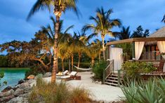 a tropical beach resort with palm trees and lounge chairs