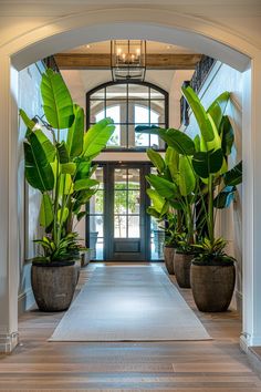 the entrance to an elegant house with large potted plants