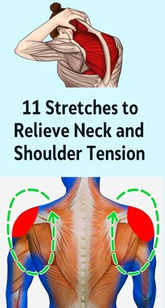 Neck And Shoulder Exercises, Shoulder Stretches, Tight Shoulders, Shoulder Tension, Shoulder Exercises, Shoulder Pain Relief, Neck Exercises, Stiff Neck, Muscle Pain Relief