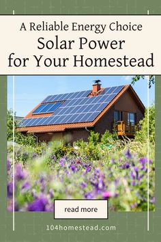 Looking for a sustainable energy option for your homestead? Solar power provides reliable energy in any climate. Learn how to set up solar panels for your home and enjoy cost-effective, eco-friendly living.