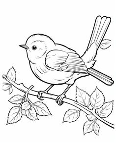 Welcome to our enchanting world of avian artistry! Dive into the realm of feathered wonders with our "250 Beautiful Bird Designs" Printable PDF Coloring Book. 🦜🎨 Unleash your creativity: Discover a diverse collection of 250 intricately designed bird illustrations waiting to be brought to life by your artistic touch. Whether you're an experienced artist or a beginner, these drawings offer the perfect canvas to explore your coloring skills and experiment with various color palettes. 🌈 Endless p Bird Illustrations, Designs Printable, Bird Designs, Bird Coloring Pages, Coloring Supplies, Beautiful Bird, Bird Drawings, Bird Illustration, Colouring Books