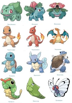 the different types of pokemons are shown in this image