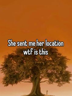 a tree with the words she sent me her location wf is this