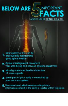 Chiropractic Facts, Chiropractic Office Decor, Somatic Movement, Spine Care