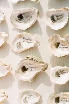 several oysters with names on them sitting on a white tableclothed surface in front of each other