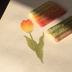 three crayons are laying on top of a piece of paper with a flower drawn on it