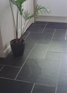 a potted plant sitting on top of a black tile floor next to a white wall