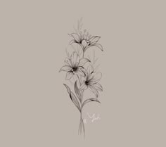 black and white drawing of flowers on a gray background