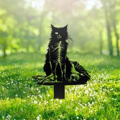 a black cat sitting on top of a wooden bench in the middle of a field