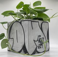 a potted plant with graffiti on it and some green plants growing out of it