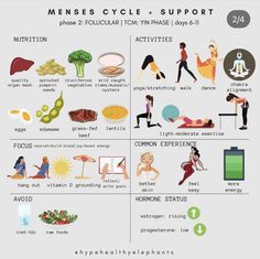 Food Cycle, Womb Healing