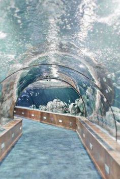 an underwater tunnel with rocks and water