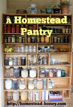 a shelf filled with lots of jars and containers