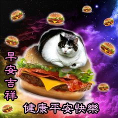 a cat is sitting on top of a hamburger with many burgers around it and stars in the sky