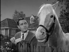 a man standing next to a horse near a fence