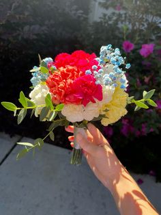 a hand holding a bouquet of flowers in front of some bushes and flowers on the sidewalk