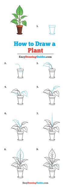 How to Draw plant. Easy to Draw Art Project for Kids. See the Full Drawing Tutorial on https://easydrawingguides.com/how-to-draw-a-plant/