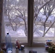 a window sill filled with lots of items next to a snow covered yard and trees