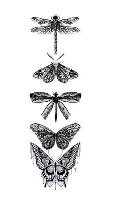 four different types of dragonflies in black and white, each with wings spread out