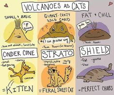 an illustrated poster with cats and other things to describe in each one's own language