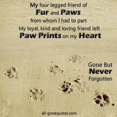 two paw prints in the sand with a poem written on it that says, my four legged friend of fur and paws from whom i had to part