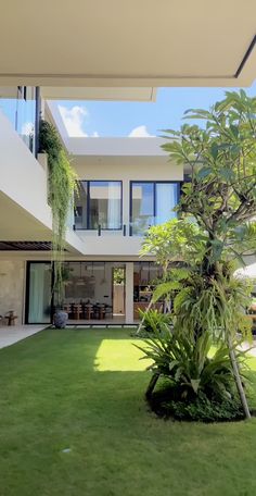 an outdoor area with grass, trees and plants in front of a building that has large windows