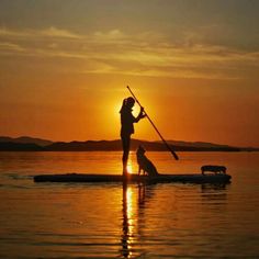 a person on a paddle board with a dog in the water at sunset or dawn