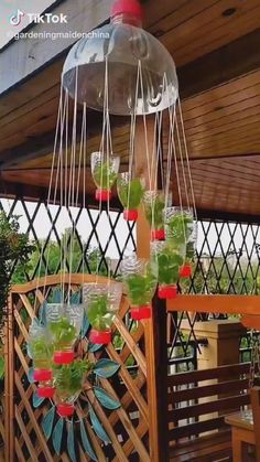 some plants are growing in glass vases hanging from a trellis on a deck