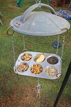 a metal tray filled with lots of food on top of a grass covered park area