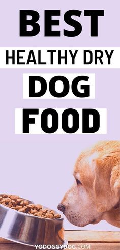 a dog eating food out of a bowl with the words best healthy dry dog food