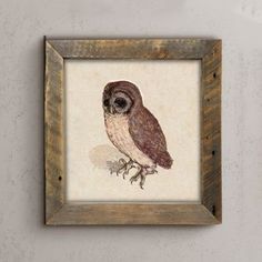 an owl is sitting on a branch in a wooden frame hanging on the wall next to a potted plant