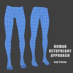 the human retropoly approach is shown in blue and black plaid pants with text that reads, human retropoly approach - log focus