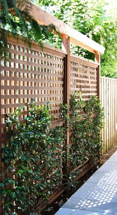 a wooden fence next to a sidewalk with plants growing on it and a bench in the foreground