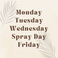 the words monday, tuesday, wednesday, and spray day friday written in brown ink