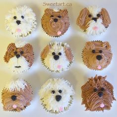 cupcakes made to look like dogs with icing on them