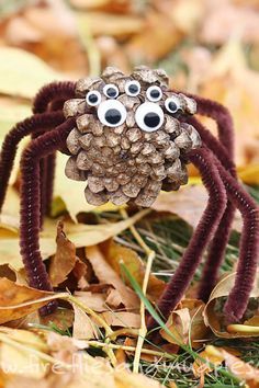 a spider made out of pine cones with eyes on it's head and legs