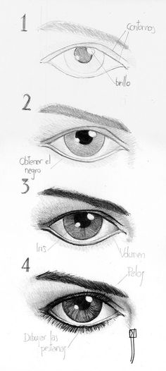 an image of different types of eyes