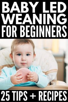 baby led weaning for beginners 25 tips and recipes