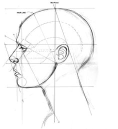 a drawing of a head with lines on the face and part of it's upper half