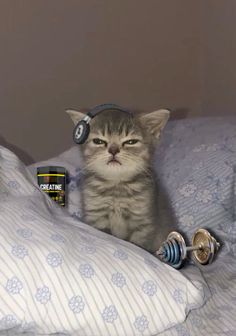 a cat sitting on top of a bed wearing headphones and holding a cup in it's paws