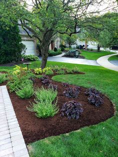 a flower bed in the middle of a yard next to a tree and walkway with grass