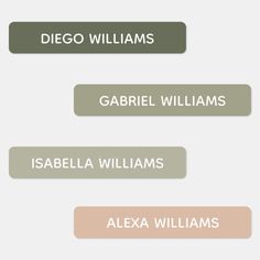 four different types of text on a white background with the words diego williams, gabriel williams,