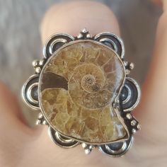 Brand New Handmade Unique Ammonite Silver Ring. Size 9 925 Stamped New To Poshmark? Use Referral Code Kimberlyn222 To Receive $10. Ammonite Jewelry, Ring Color, 925 Silver Ring, 925 Silver Rings, Womens Jewelry Rings, Handmade Silver, Silver Ring, 925 Silver, Handmade Jewelry