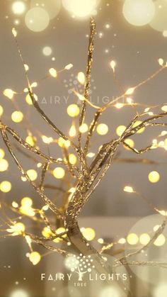 fairy lights are on the branches of a tree in front of a blurry background