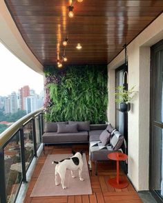 a dog standing on top of a wooden floor next to a living room with lots of plants