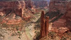 an aerial view of canyons and cliffs in the desert, with trees growing on them