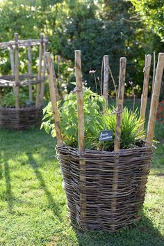 several baskets with plants in them sitting on the grass